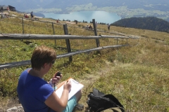 SOTA Schafberg 08-2014 7