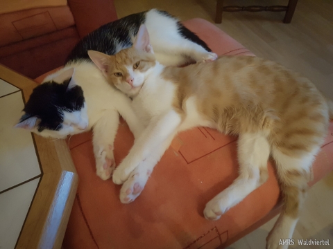 160m-OE-Notfunkrunde-18 160m-OE-Notfunkrunde-18