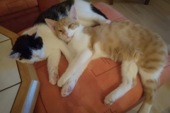 160m-OE-Notfunkrunde-18