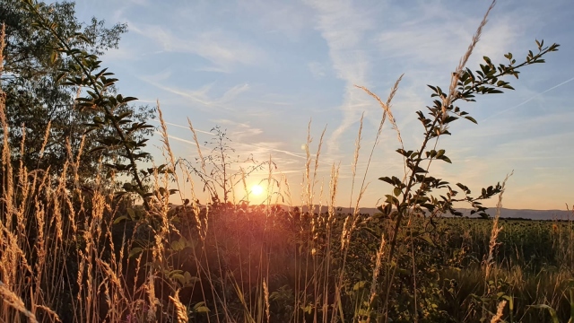 217174113_1946654292152481_4868189205499917249_n