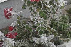 Eis-12-2014-1
