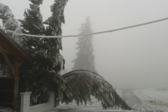 Eis-12-2014-4
