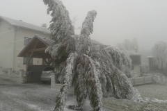 Eis-12-2014-5