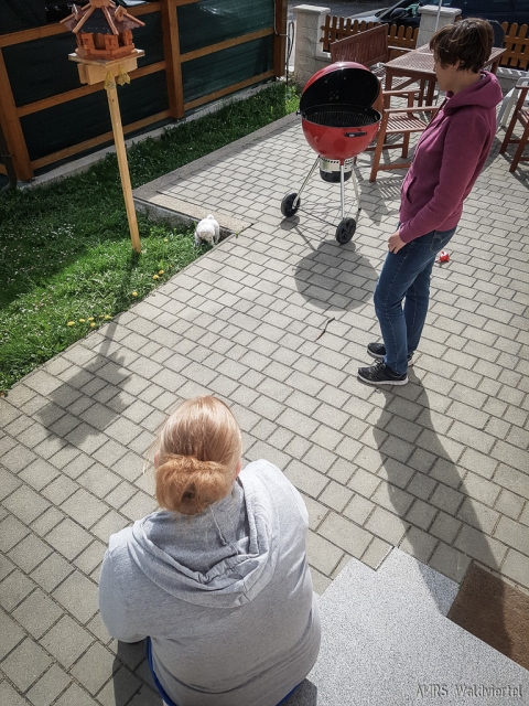 AOEC-2018-08