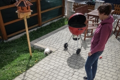 AOEC-2018-08