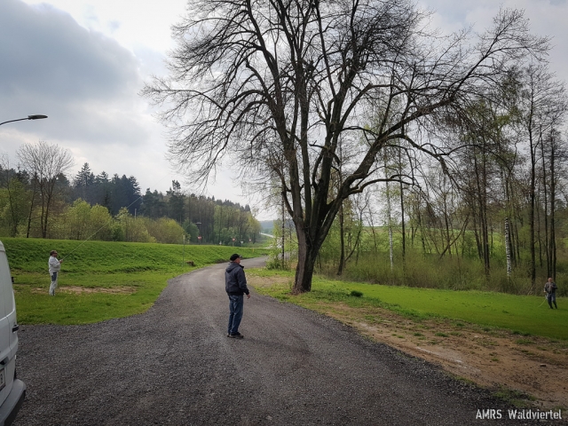 AOEE-2019-01 AOEE-2019-01