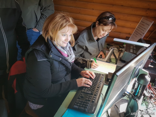 AOEE-2019-14 AOEE-2019-14