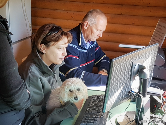 AOEE-2019-16 AOEE-2019-16