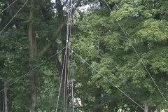 Fieldday-Zwettl-2016-32