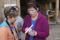 Fieldday-Zwettl-2016-47