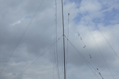 Fieldday-Zwettl-2016-9