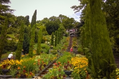 Mainau_02