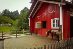 Mainau_05