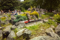 Mainau_07