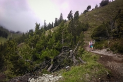 SOTA-Helwangspitz_07