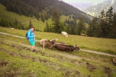 SOTA-Helwangspitz_13