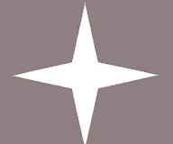Das Logo des RÖI