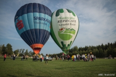 LIKAS2017-RP-30