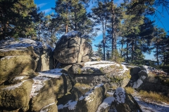 OEFF-0022-12