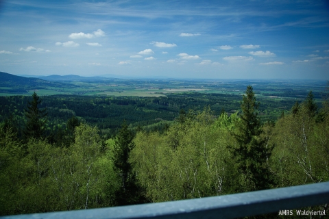 qrv-vom-mandelstein-05