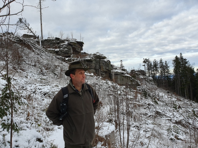 SOTA-EMC-VPA-12-2019-04