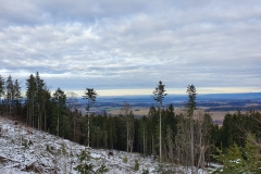 SOTA-EMC-VPA-12-2019-03