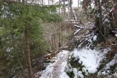 SOTA-EMC-VPA-12-2019-11