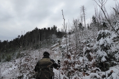 SOTA-EMC-VPA-12-2019-14