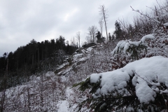 SOTA-EMC-VPA-12-2019-15