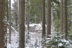 SOTA-EMC-VPA-12-2019-21