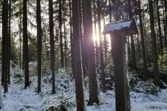 SOTA-EMC-VPA-12-2019-32