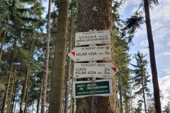 SOTA-EMC-VPA-12-2019-33