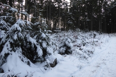 SOTA-EMC-VPA-12-2019-37
