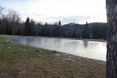 SOTA-EMC-VPA-12-2019-43