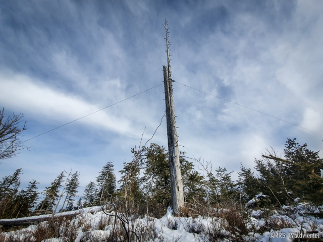 SOTA-EMC-VPA-12-2020-05