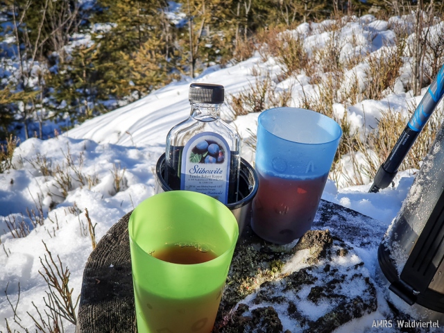 SOTA-EMC-VPA-12-2020-09