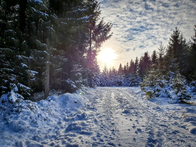 SOTA-EMC-VPA-12-2020-13