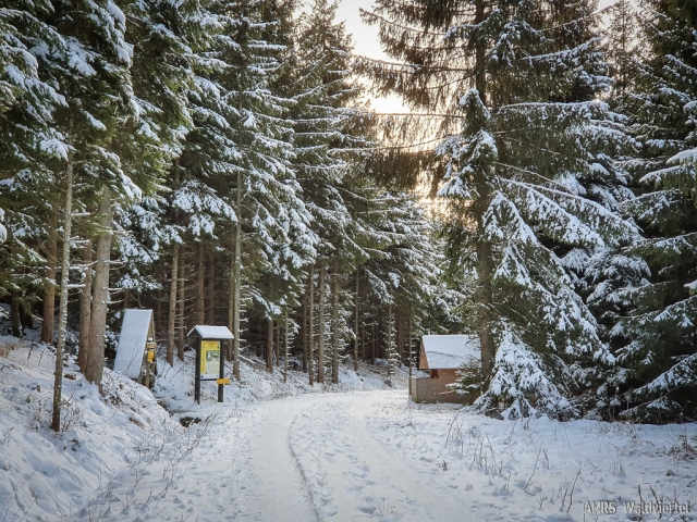 SOTA-EMC-VPA-12-2020-14