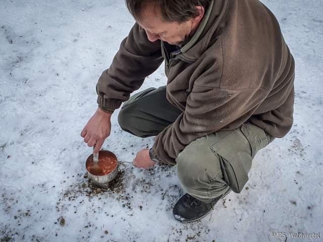 SOTA-EMC-VPA-12-2020-17