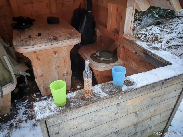 SOTA-EMC-VPA-12-2020-19