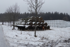SOTA-untertag-16