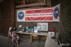 AM-Stadtfest-Allentsteig-2017-11