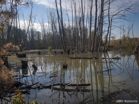 TÜPL-Rundfahrt-10-2018-17