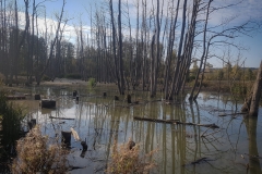 TÜPL-Rundfahrt-10-2018-16