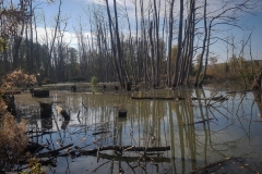 TÜPL-Rundfahrt-10-2018-17