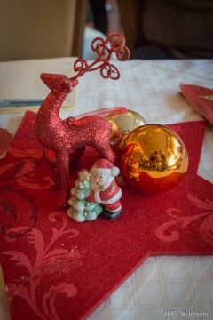 Weihnachtsfeier-2017-AMRS-W4-13